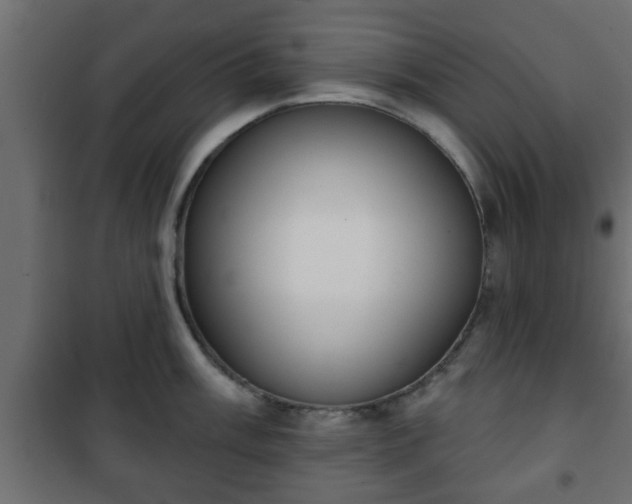 X0000101201003200807071310