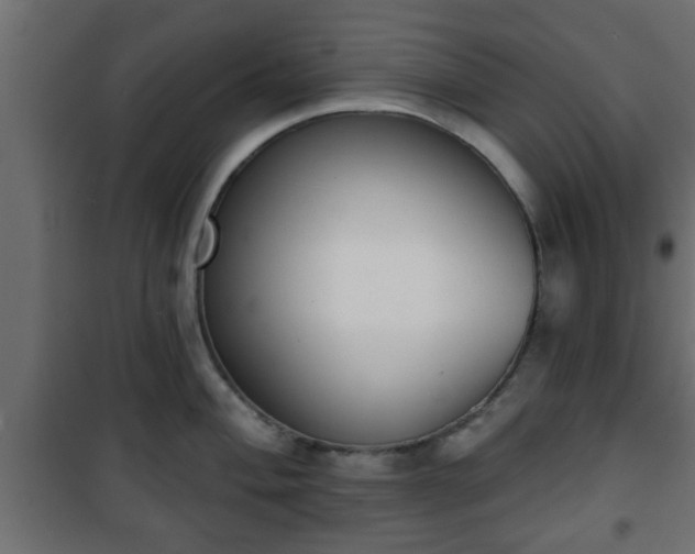 X0000101201004200807071310