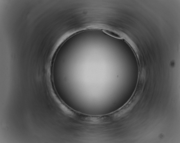 X0000101201005200807071310