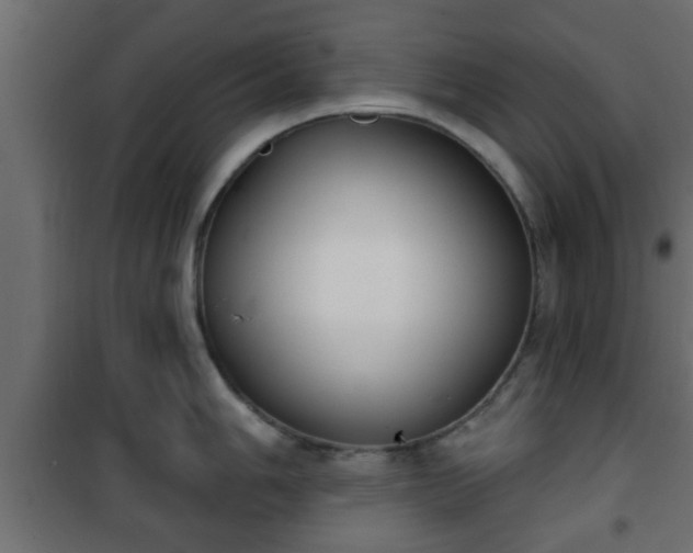 X0000101201006200807071310