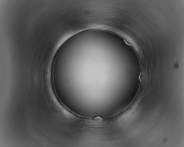 X0000101201007200807071310