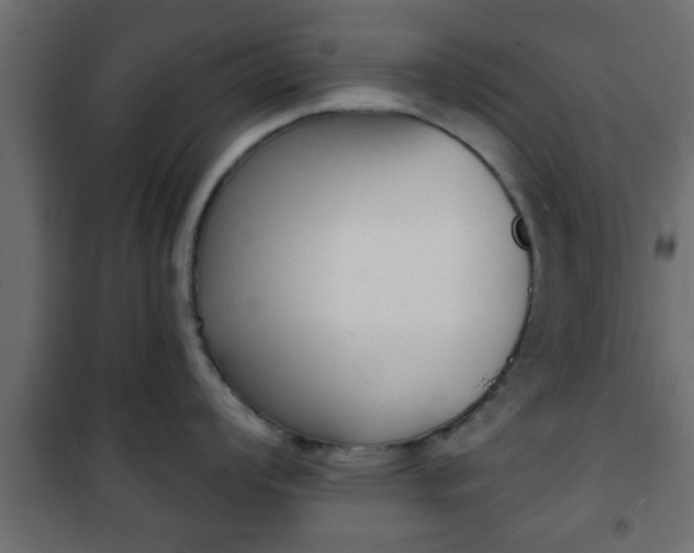 X0000101201008200807071310