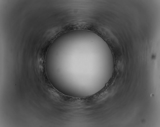 X0000101201010200807071309
