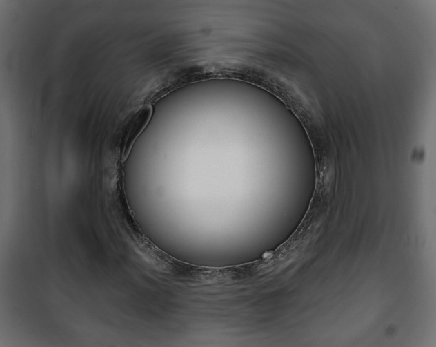 X0000101201012200807071309