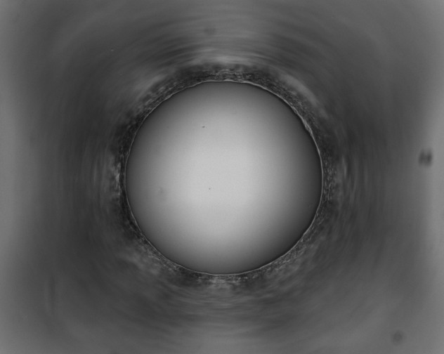 X0000101201013200807071309