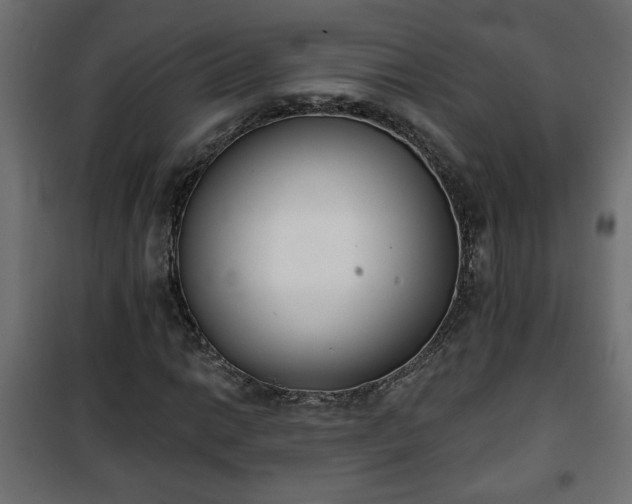X0000101201014200807071309