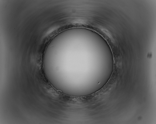 X0000101201015200807071309