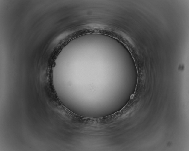 X0000101201016200807071309