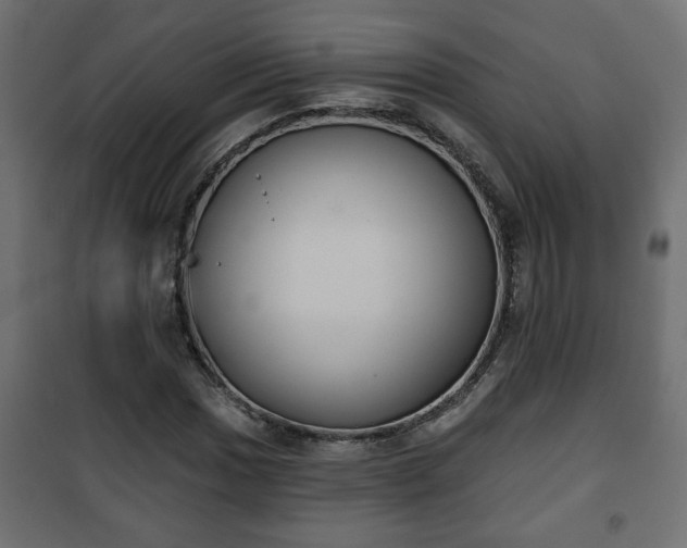 X0000101201017200807071309