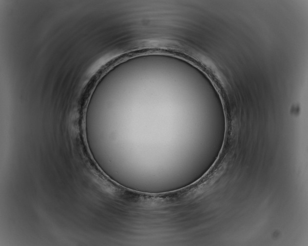 X0000101201019200807071309