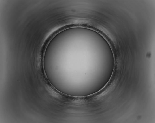 X0000101201021200807071309