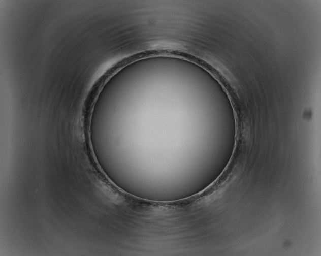 X0000101201022200807071309