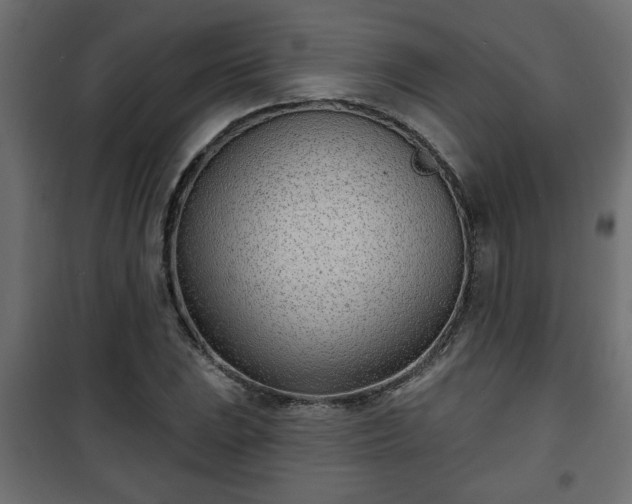 X0000101201023200807071309