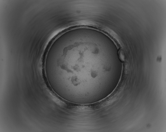 X0000101201024200807071309