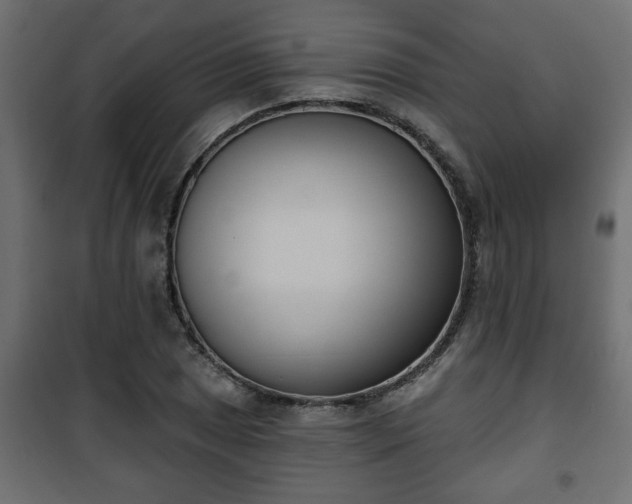 X0000101201025200807071309