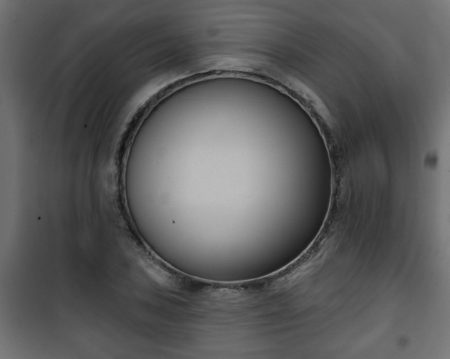 X0000101201027200807071309