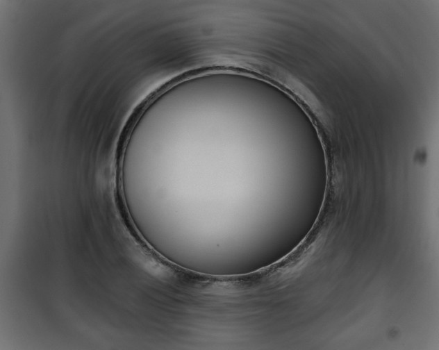 X0000101201028200807071309