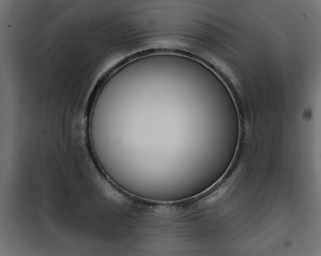 X0000101201029200807071309