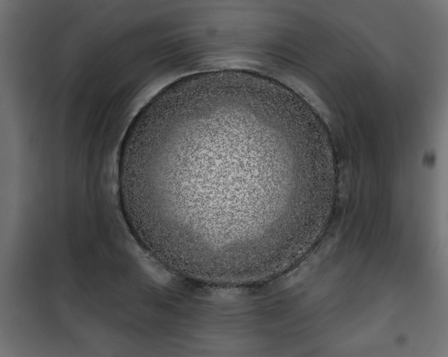 X0000101201031200807071309