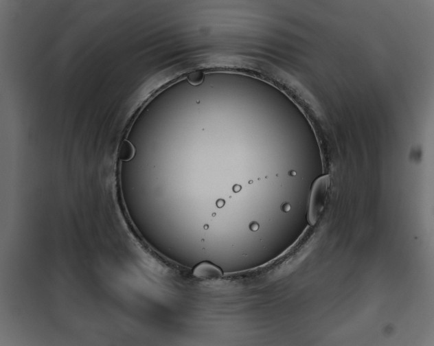 X0000101201033200807071309