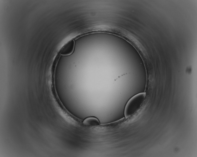 X0000101201034200807071309
