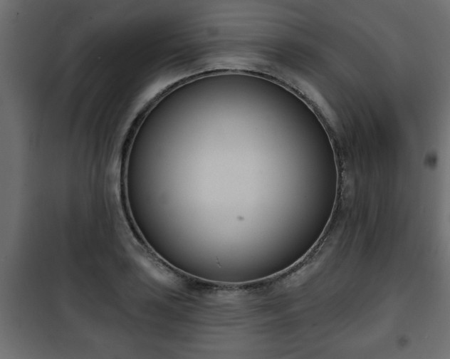 X0000101201035200807071309