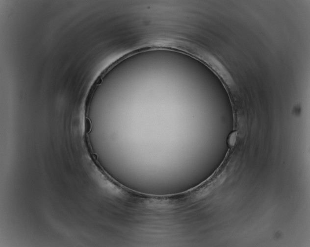 X0000101201036200807071309