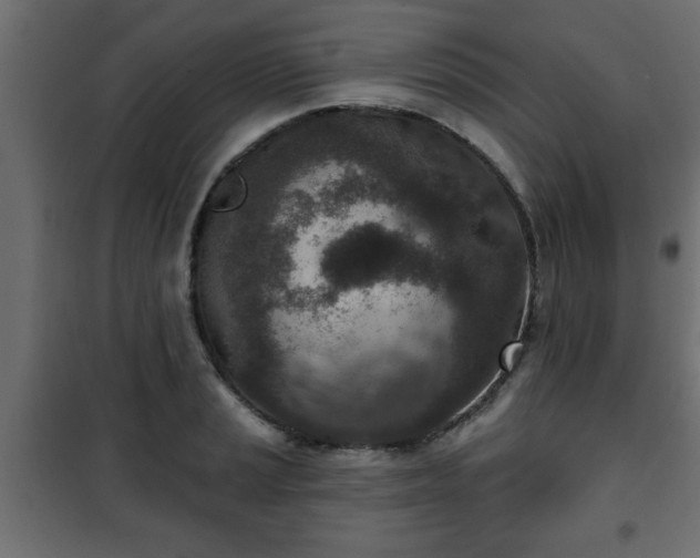 X0000101201037200807071309