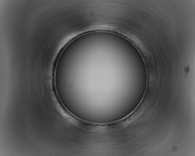 X0000101201038200807071309