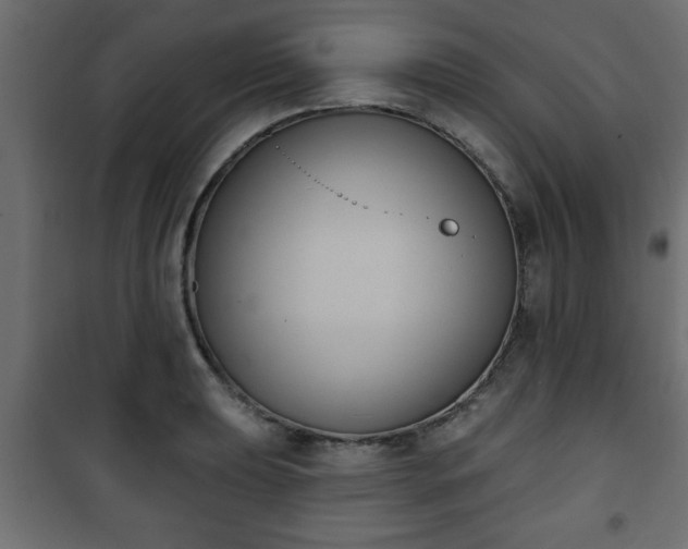 X0000101201039200807071309