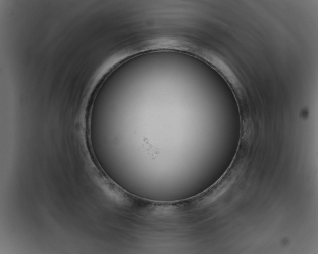 X0000101201043200807071310