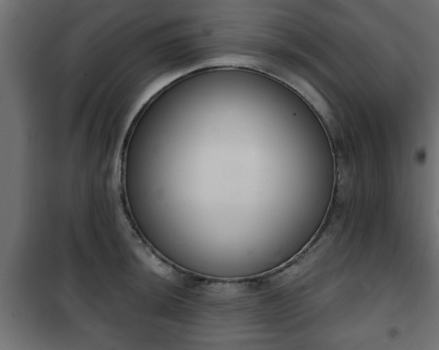 X0000101201044200807071310