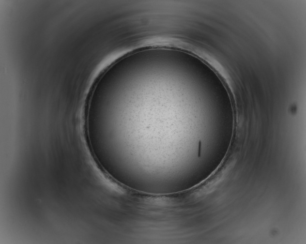 X0000101201045200807071310