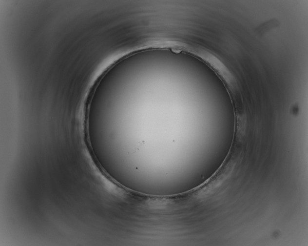 X0000101201046200807071310