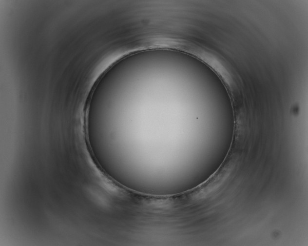 X0000101201047200807071310