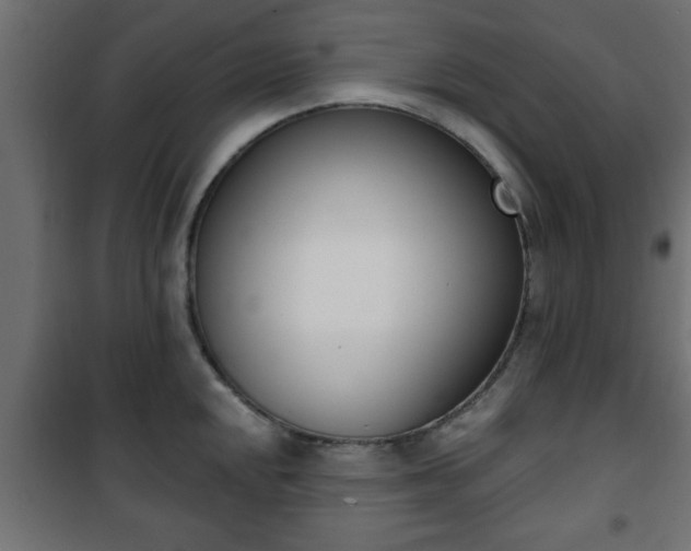 X0000101201048200807071310