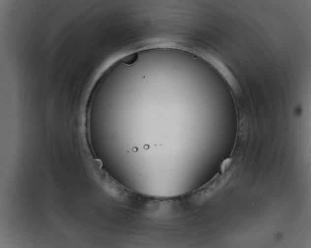 X0000101201051200807071310