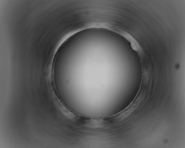 X0000101201052200807071310