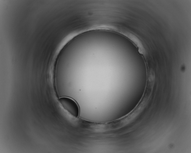 X0000101201054200807071310