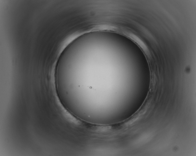 X0000101201055200807071310
