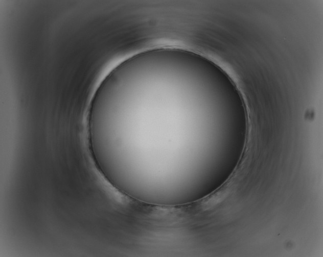 X0000101201056200807071310