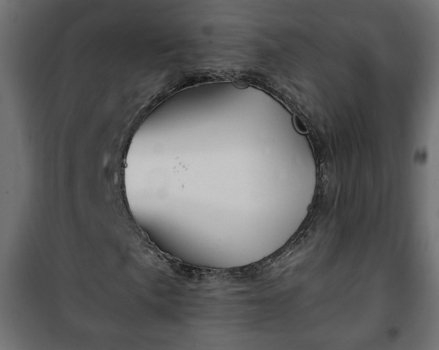X0000101201057200807071309
