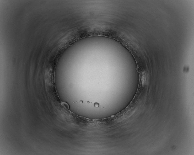 X0000101201059200807071309