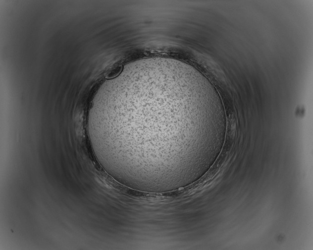 X0000101201060200807071309
