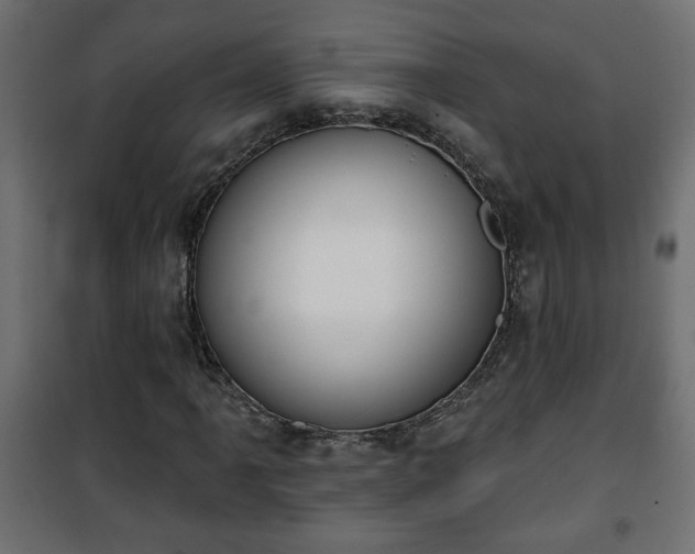 X0000101201061200807071309