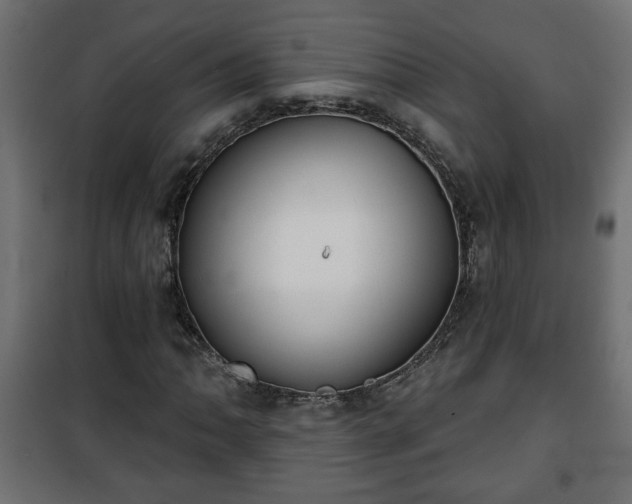 X0000101201062200807071309