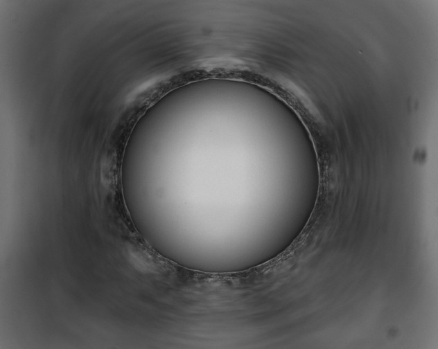 X0000101201063200807071309