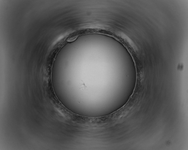 X0000101201064200807071309
