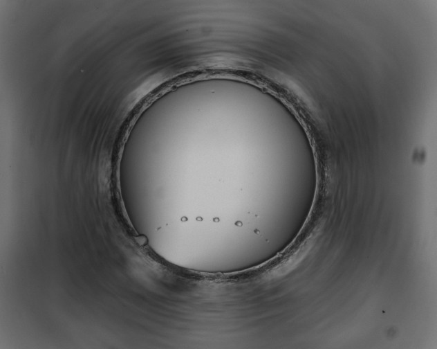 X0000101201065200807071309
