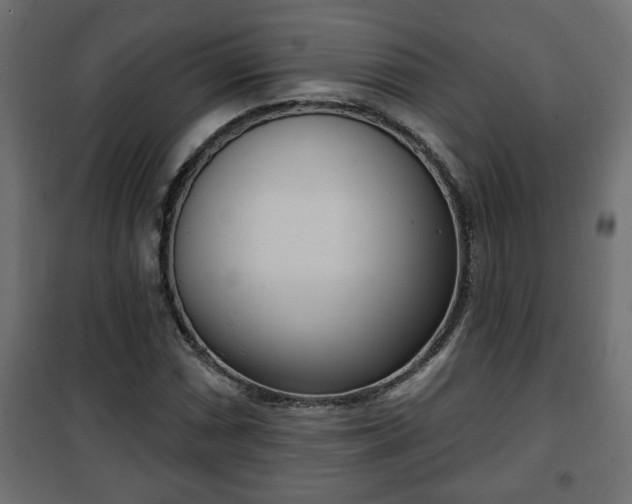 X0000101201066200807071309